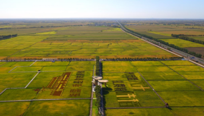科技賦能 綠色崛起——扎賚特旗農畜產品加工產業(yè)集群入圍自治區(qū)級名單