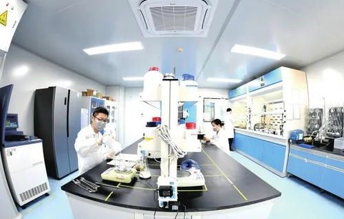 辛小湘丨促進民營經濟高質量發展的湖南答案 生物技術開發服務的創新與實踐